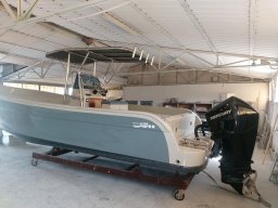 865 Escursion